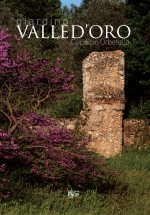 valledoro-libro